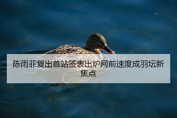 陈雨菲复出首站签表出炉网前速度成羽坛新焦点